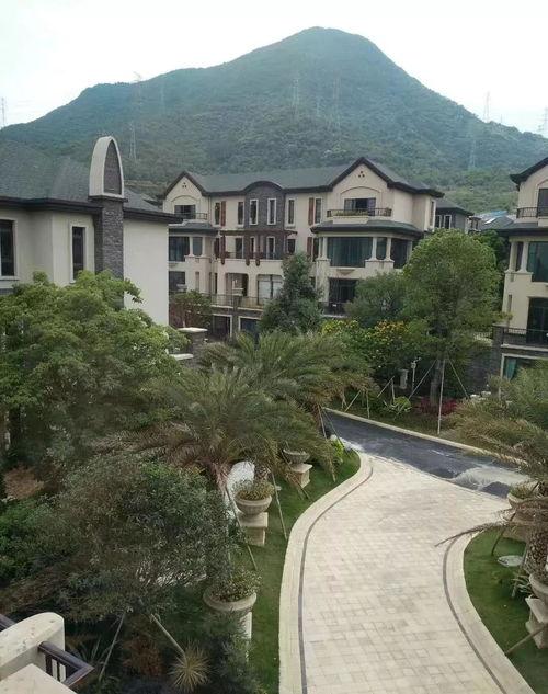 恒哥最新爆料电话,揭秘电话背后的惊人内幕 第2张 恒哥最新爆料电话,揭秘电话背后的惊人内幕 第2张